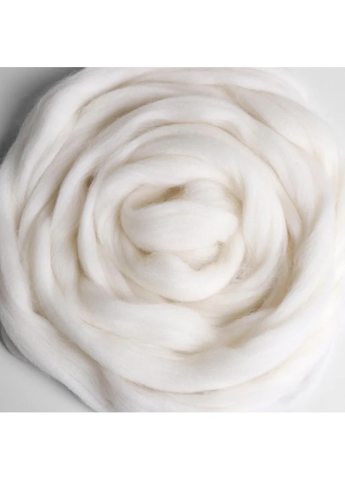 Ashford Corriedale Sliver 100g