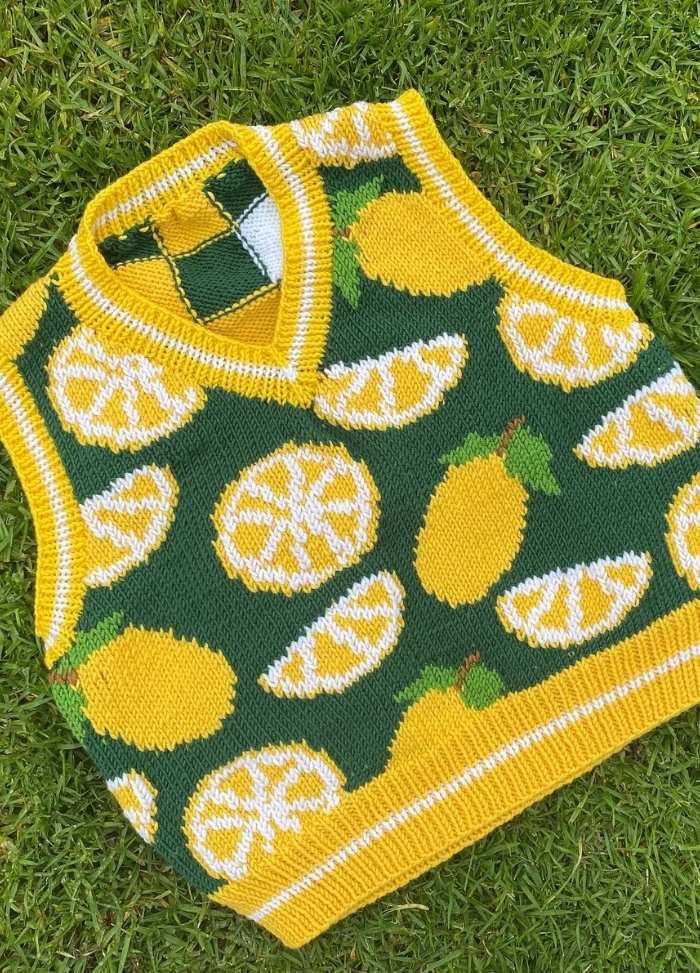 KnitKnitGoose Squeeze Me Vest Digital Pattern - Image 2