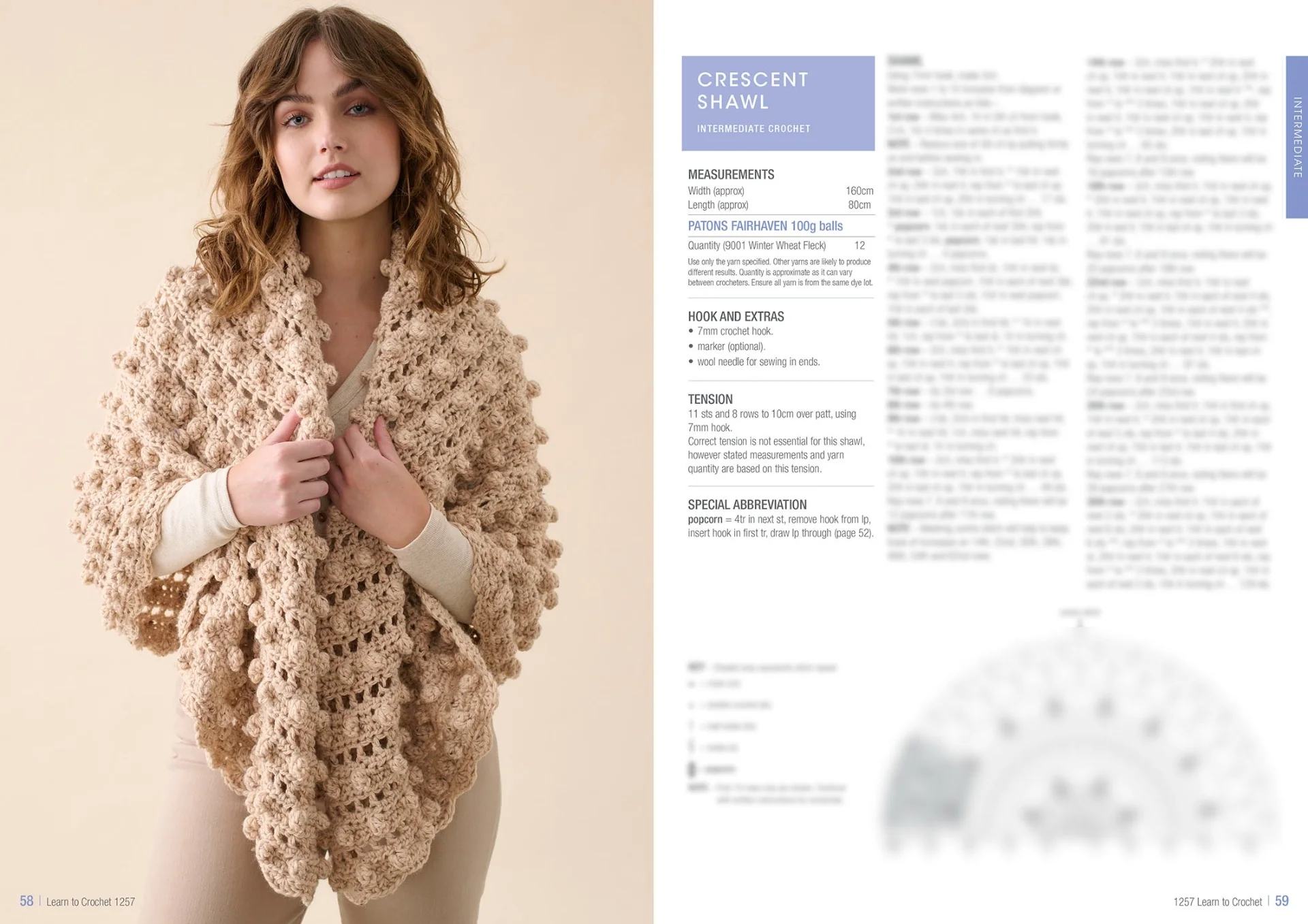 Patons Learn To Crochet 1257 - Image 30